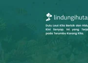 Reef Soundscape: Ketika Laut Kehilangan Suaranya