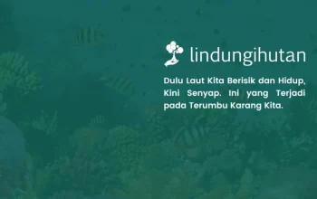 Reef Soundscape: Ketika Laut Kehilangan Suaranya