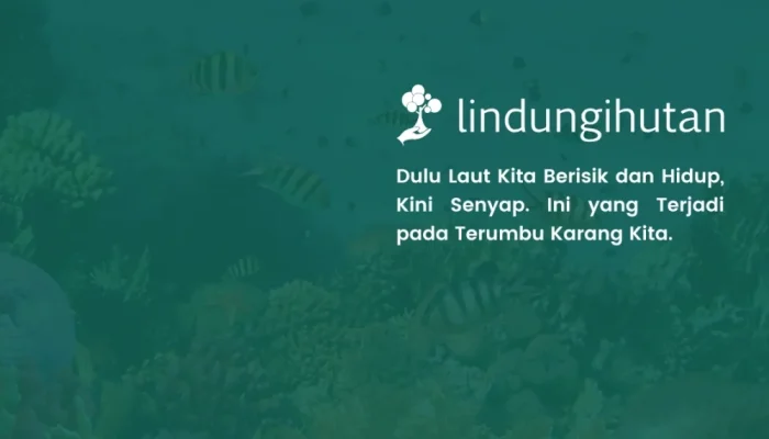 Reef Soundscape: Ketika Laut Kehilangan Suaranya