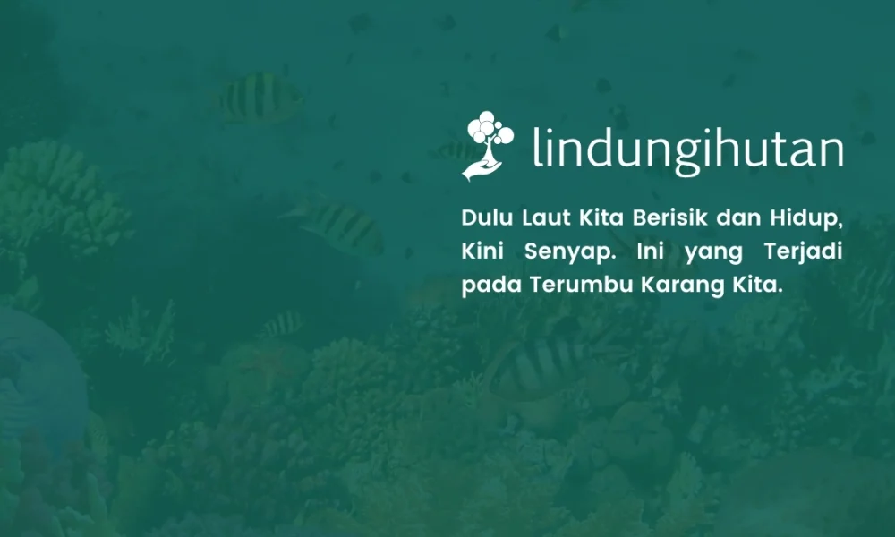 reef-soundscape:-ketika-laut-kehilangan-suaranya