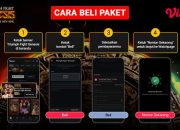 siaran-langsung-triumph-fight-genesis:-hanya-rp-29.000-di-vidio