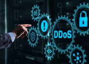 dari-serangan-$5-hingga-platform-yang-didukung-botnet:-di-dalam-pasar-ddos-as-a-service