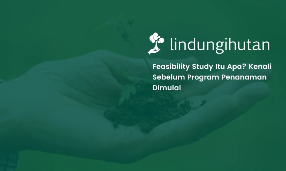 feasibility-study-adalah:-pengertian,-tujuan,-dan-manfaatnya-untuk-program-penanaman