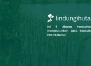 konsultan-sustainability:-pahami-peran-dan-5-tanda-bisnis-anda-membutuhkannya
