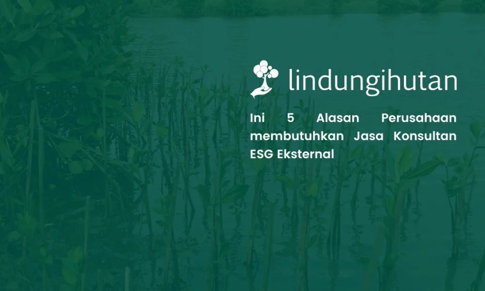 konsultan-sustainability:-pahami-peran-dan-5-tanda-bisnis-anda-membutuhkannya