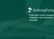 kenapa-indonesia-rentan-terhadap-el-nino-dan-la-nina?-ini-penjelasannya
