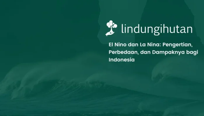 Kenapa Indonesia Rentan terhadap El Nino dan La Nina? Ini Penjelasannya