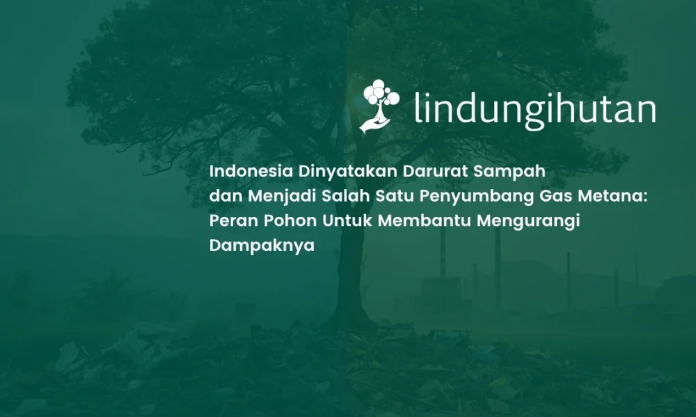 indonesia-darurat-sampah,-gas-metana-jadi-ancaman:-peran-pohon-sebagai-solusi
