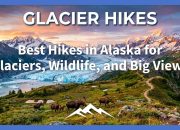 Pendakian Terbaik di Alaska untuk Gletser, Satwa Liar, dan Pemandangan Besar