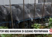 video:-motor-listrik-program-mbg-mangkrak-di-gudang