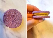 Saya Mencoba Oreo Viral BTS yang Terinspirasi Hotteok, Dan Saya Mungkin Menjadi ARMY Sekarang