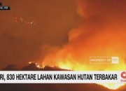 video:-ngeri!-830-hektare-lahan-kawasan-hutan-terbakar