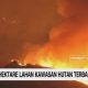 VIDEO: Ngeri! 830 Hektare Lahan Kawasan Hutan Terbakar
