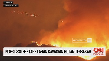video:-ngeri!-830-hektare-lahan-kawasan-hutan-terbakar