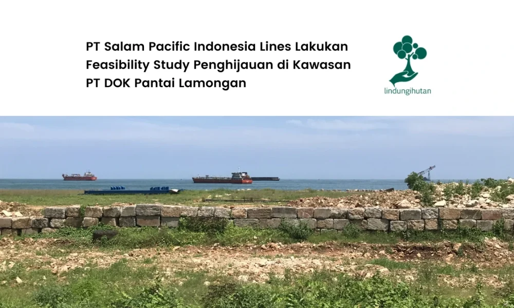 pt-spil-jalankan-feasibility-study-penghijauan-di-lamongan