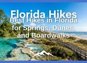 pendakian-terbaik-di-florida-untuk-springs,-dunes,-dan-boardwalks