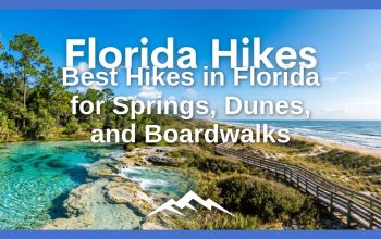 Pendakian Terbaik di Florida untuk Springs, Dunes, dan Boardwalks