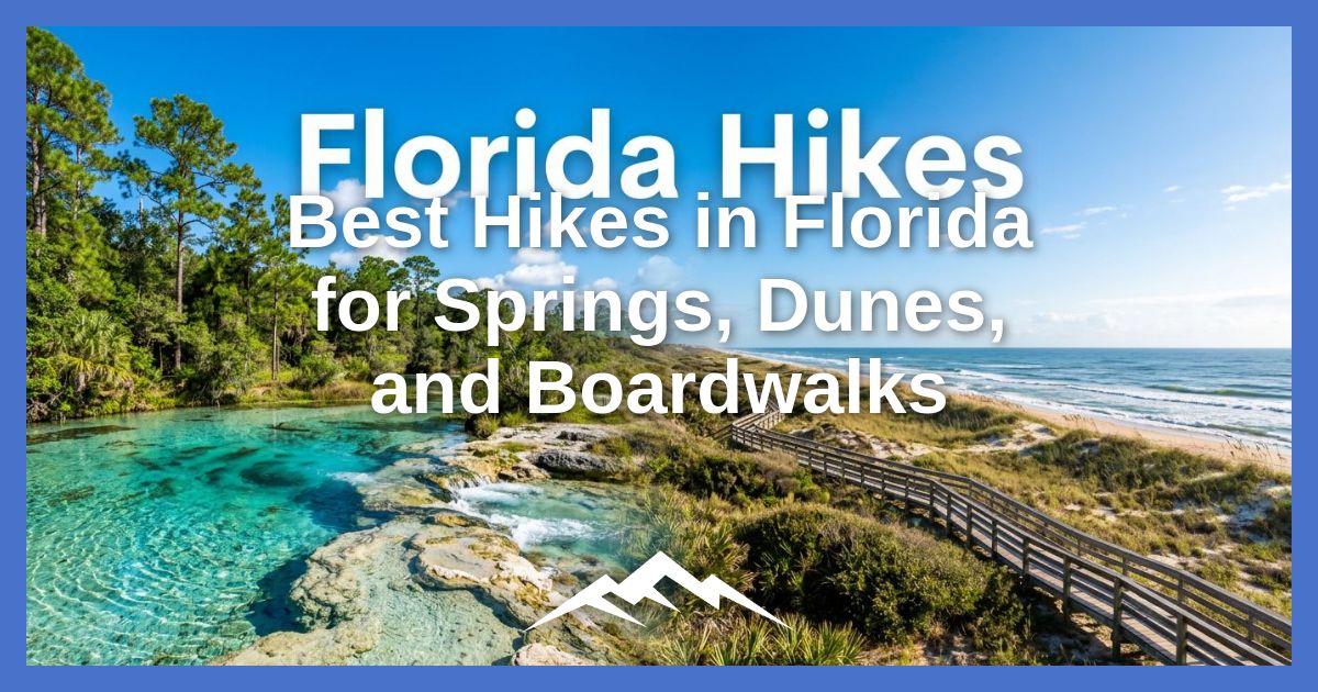 pendakian-terbaik-di-florida-untuk-springs,-dunes,-dan-boardwalks