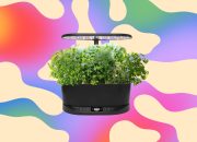 aerogarden-yang-saya-rekomendasikan-kepada-semua-orang-saat-ini-hanya-$83,-diskon-63-persen