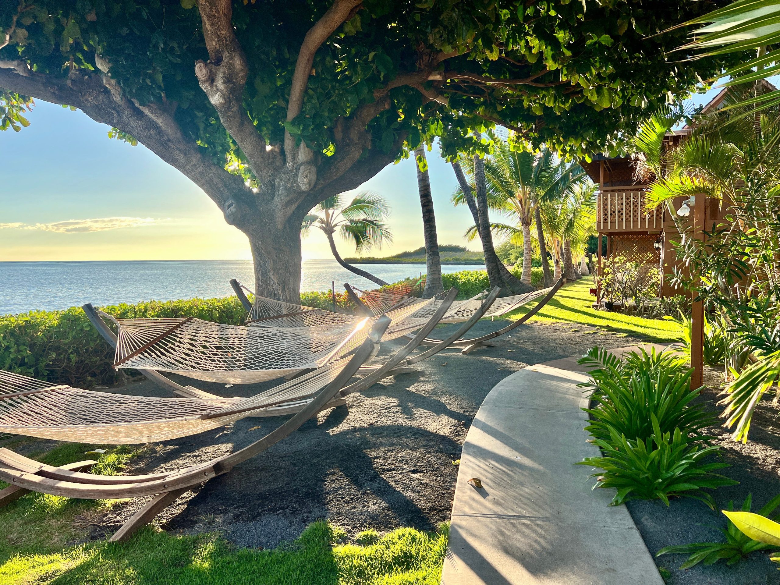 saya-menginap-di-satu-satunya-hotel-di-pulau-‘paling-tidak-turis’-di-hawaii-dengan-tarif-$260-per-malam-saya-akan-melakukannya-lagi-untuk-kenyamanan-dan-pemandangan.