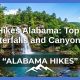 Pendakian Terbaik Alabama: Jalur Terbaik untuk Pemandangan Air Terjun dan Ngarai