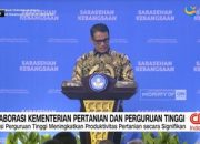 video:-kolaborasi-kementerian-pertanian-dan-perguruan-tinggi