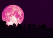 strawberry-moon-muncul-malam-ini,-kapan-waktu-terbaik-untuk-melihatnya?