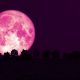 Strawberry Moon Muncul Malam Ini, Kapan Waktu Terbaik untuk Melihatnya?