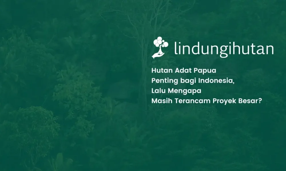 hutan-adat-papua:-penting-bagi-indonesia,-tapi-kini-justru-terancam