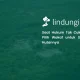 mengenal-hutan-wakaf:-benteng-hijau-swadaya-untuk-selamatkan-rimba-indonesia