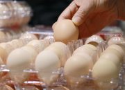 kami-diberi-penerangan-oleh-big-egg-tentang-harga-telur-(diduga)