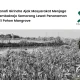 menjaga-tambakrejo-semarang,-hanafi-girindra-tanam-141-pohon-mangrove