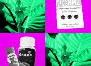 dea-berencana-melarang-senyawa-kratom-mirip-opioid-7-oh