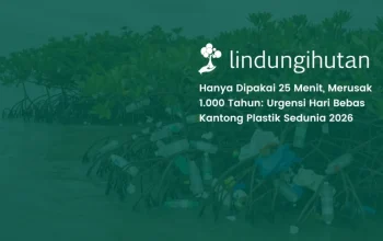 Hari Bebas Kantong Plastik Sedunia 2026: Saatnya Selamatkan Bumi Sekaligus Isi Dompet
