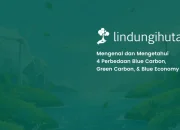 4-perbedaan-green-carbon,-blue-carbon,-&-blue-economy