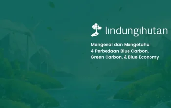 4 Perbedaan Green Carbon, Blue Carbon, & Blue Economy