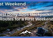 Rute Backpacking Dolly Sods Terbaik untuk Akhir Pekan Pertama