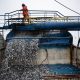 el-nino-telah-mendatangkan-malapetaka-pada-perikanan-pasifik