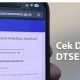 Cara Cek Desil Kemensos Juli 2026 Pakai NIK KTP, Cukup Lewat HP
