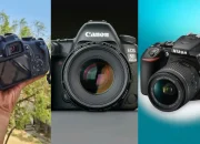6-kamera-dslr-terbaik-yang-masih-layak-dibeli,-lengkap-spek-dan-harganya!