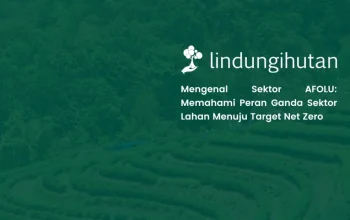 Apa itu AFOLU? Memahami Peran Sektor Lahan dalam Pengurangan Emisi Karbon