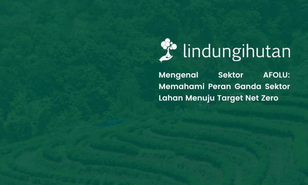 apa-itu-afolu?-memahami-peran-sektor-lahan-dalam-pengurangan-emisi-karbon