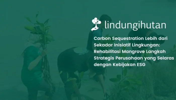 Carbon Sequestration: Solusi Hijau Serap Karbon