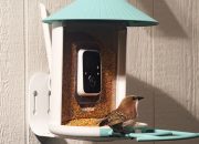 Pengumpan pintar bertenaga surya Birdfy turun ke salah satu harga terbaiknya
