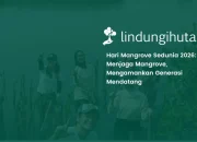 hari-mangrove-sedunia-2026:-kenali-jenis,-manfaat-dan-cara-menanamnya