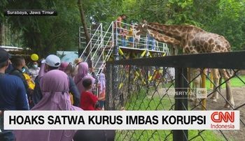 VIDEO: Hoaks Satwa Kurus Imbas Korupsi