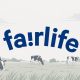 coca-cola-mengonfirmasi-pencurian-data-dalam-serangan-ransomware-fairlife