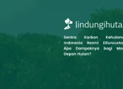 apa-itu-sentra-karbon-kehutanan-indonesia?-fungsi-dan-manfaatnya