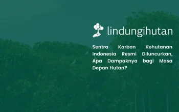 Apa Itu Sentra Karbon Kehutanan Indonesia? Fungsi dan Manfaatnya
