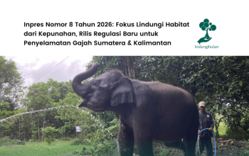 Inpres Nomor 8 Tahun 2026: Regulasi Baru Penyelamatan Gajah Sumatera dan Kalimantan 